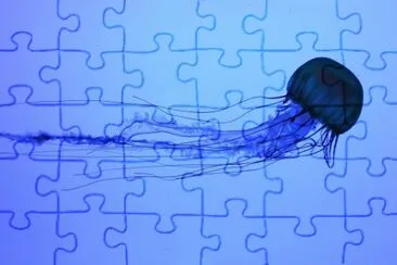 Medusa scatola jigsaw puzzle