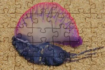 Medusa blue bottle jigsaw puzzle
