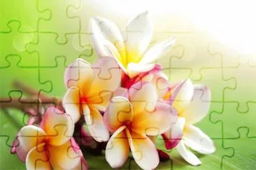 èŠ±æ¡Œå¸ƒ jigsaw puzzle