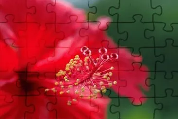 èŠ±æ¡Œå¸ƒ jigsaw puzzle