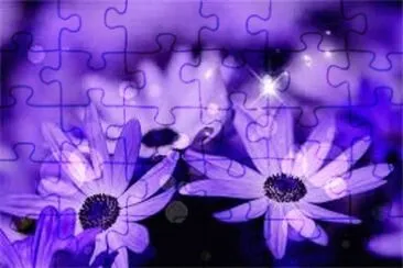 èŠ±æœµ jigsaw puzzle