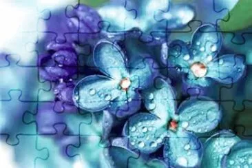 èŠ±æœµ jigsaw puzzle