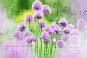 èŠ±æœµ jigsaw puzzle