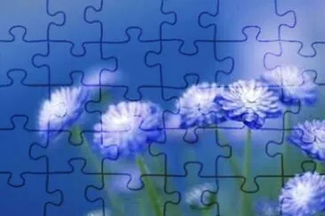èŠ±æœµ jigsaw puzzle
