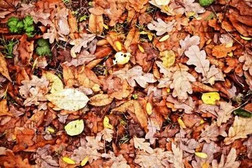 163 jigsaw puzzle