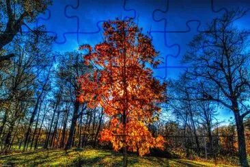 Estaciones del aÃ±o jigsaw puzzle