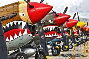 P40s jigsaw puzzle