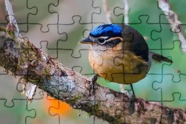 Ifrita jigsaw puzzle