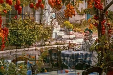 Tomatoes