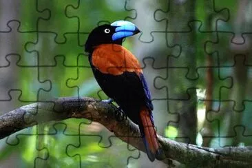 Vanga dall 'elmo jigsaw puzzle