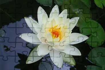 ç¡è“® jigsaw puzzle