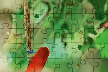 Uccello del paradiso reale jigsaw puzzle