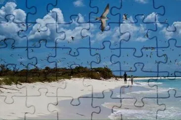 ArchipiÃ©lago Las Aves, Venezuela jigsaw puzzle