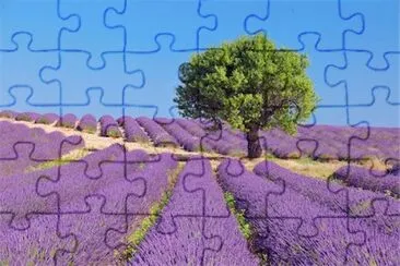 NATUREZA