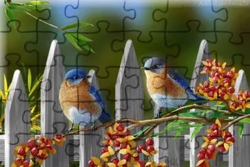 פאזל של Bunt