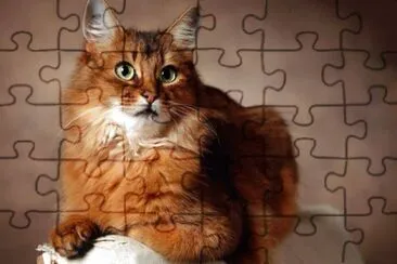 Somalo jigsaw puzzle
