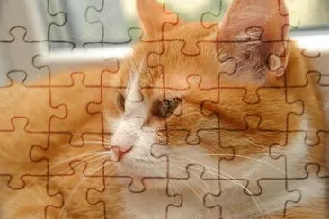 Zenzero jigsaw puzzle