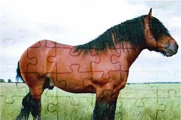 Auxois jigsaw puzzle