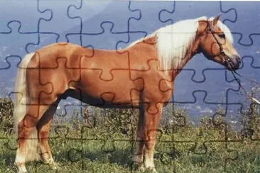 Avelignese jigsaw puzzle