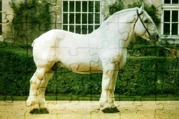Boulonnais jigsaw puzzle