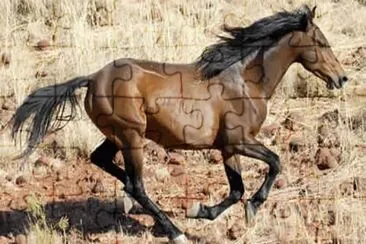 Brumby jigsaw puzzle