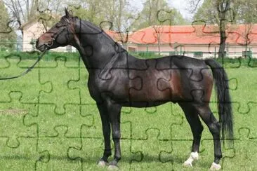 Bulgaro orientale