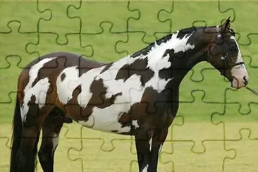 Dal manto meraviglioso jigsaw puzzle