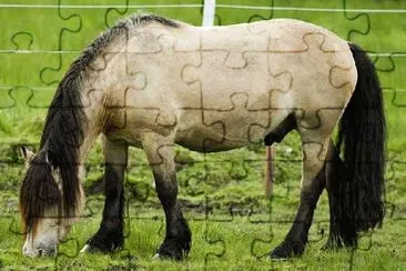 Dolegudbrandsdal jigsaw puzzle
