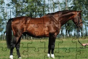 Einsiedler jigsaw puzzle