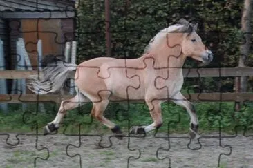 Fjord jigsaw puzzle
