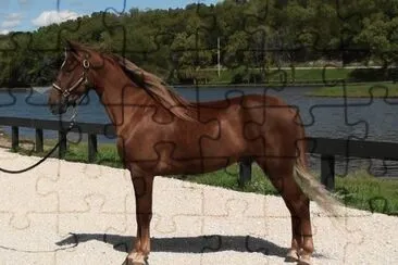 Kentucky mountaun