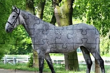 Kladruber jigsaw puzzle