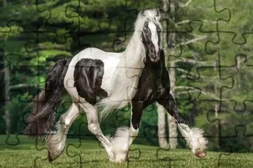 Maxresdefault jigsaw puzzle