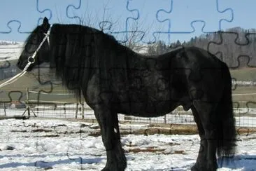 Merens jigsaw puzzle
