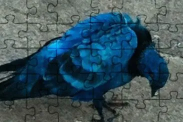 Piccione blu cobalto jigsaw puzzle