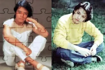 Taiwan 70s Superstar Liu Wenzheng jigsaw puzzle