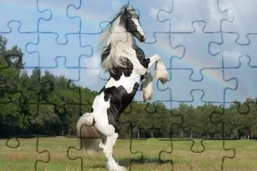 Zingaro jigsaw puzzle