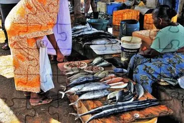 Fish Market