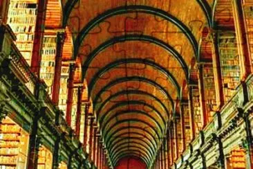 Dublin Library jigsaw puzzle