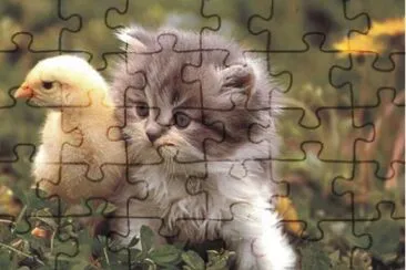 פאזל של cats