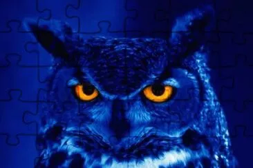GALPER2000 jigsaw puzzle