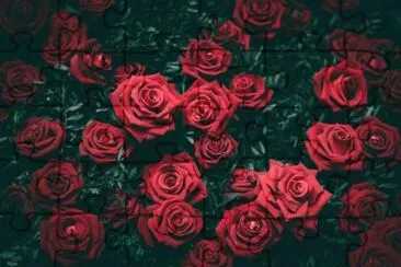 Rosas