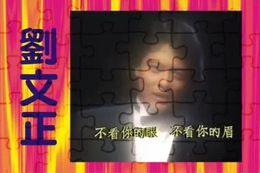 åŠ‰æ–‡æ­£ jigsaw puzzle