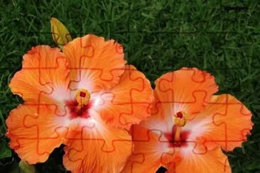 imagem jigsaw puzzle