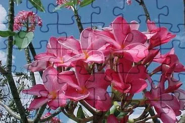 imagem jigsaw puzzle