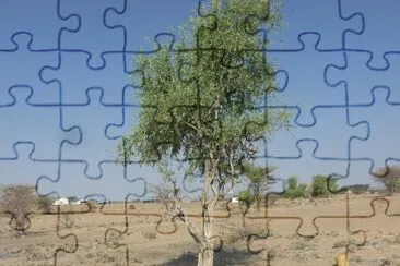 nakalel jigsaw puzzle