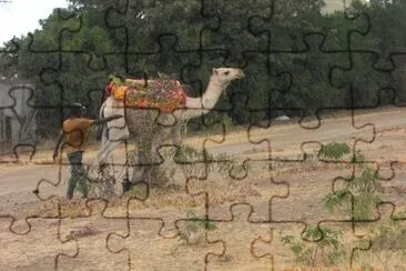 NANYUKI jigsaw puzzle