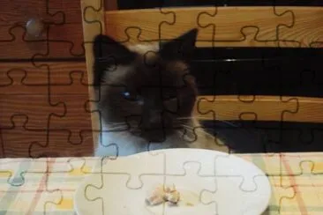 misette jigsaw puzzle