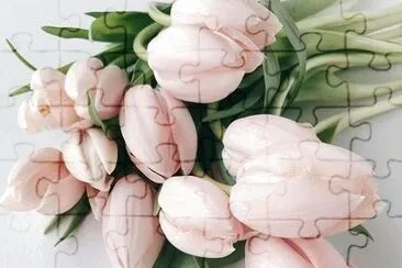 tulips jigsaw puzzle
