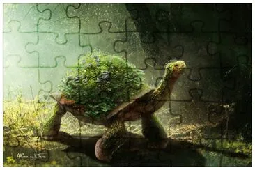 Turtle jigsaw puzzle